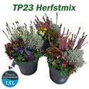 Afbeelding van TP23 Herfst mix Divers